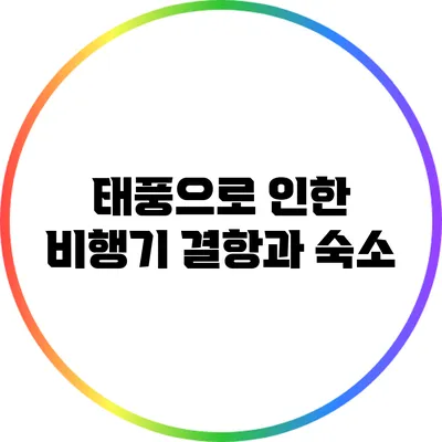 태풍으로 인한 비행기 결항과 숙소