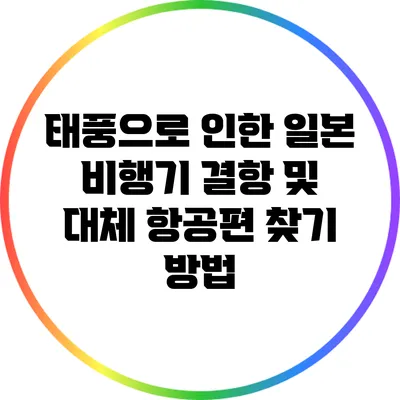 태풍으로 인한 일본 비행기 결항 및 대체 항공편 찾기 방법