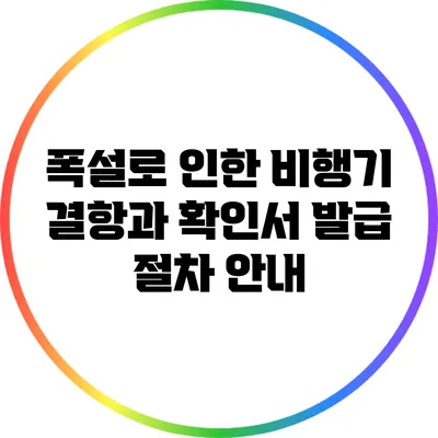 폭설로 인한 비행기 결항과 확인서 발급 절차 안내
