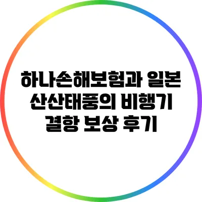 하나손해보험과 일본 산산태풍의 비행기 결항 보상 후기
