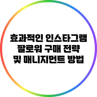 효과적인 인스타그램 팔로워 구매 전략 및 매니지먼트 방법