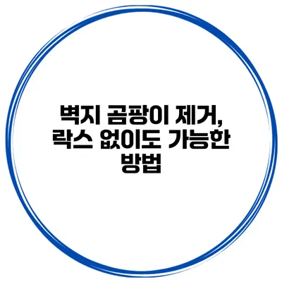 벽지 곰팡이 제거, 락스 없이도 가능한 방법