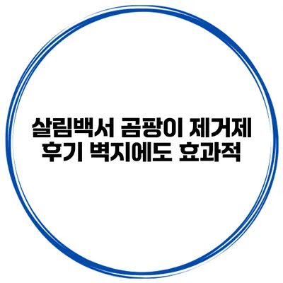 살림백서 곰팡이 제거제 후기 벽지에도 효과적