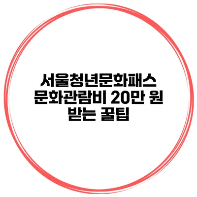 서울청년문화패스 문화관람비 20만 원 받는 꿀팁