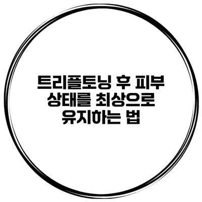 트리플토닝 후 피부 상태를 최상으로 유지하는 법
