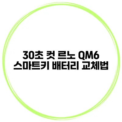 30초 컷 르노 QM6 스마트키 배터리 교체법