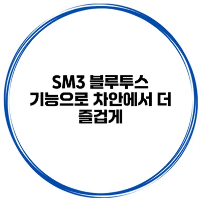 SM3 블루투스 기능으로 차안에서 더 즐겁게