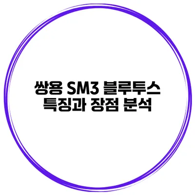 쌍용 SM3 블루투스 특징과 장점 분석