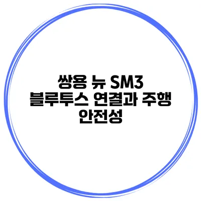 쌍용 뉴 SM3 블루투스 연결과 주행 안전성