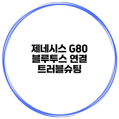 제네시스 G80 블루투스 연결 트러블슈팅