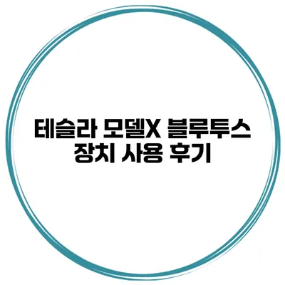 테슬라 모델X 블루투스 장치 사용 후기